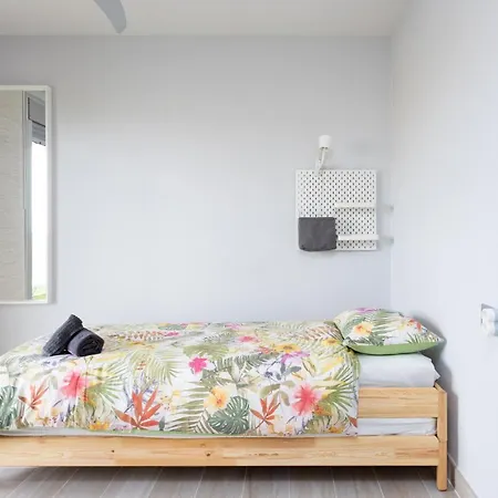 Sotavento Cactus By Sunkeyrents