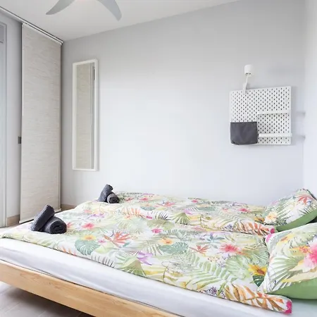 Sotavento Cactus By Sunkeyrents